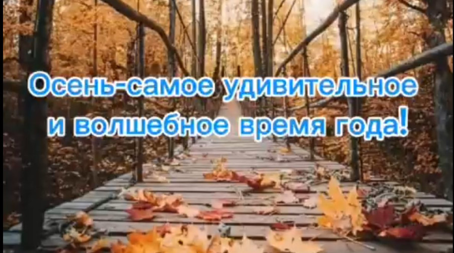 КРАСКИ ОСЕНИ !🍂. КРАСКИ ОСЕНИ !🍂. .
